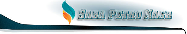 Company Name